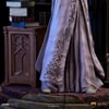 Albus Dumbledore Deluxe (Prototype Shown) View 13