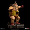 Krang (Prototype Shown) View 16