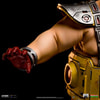 Krang (Prototype Shown) View 5