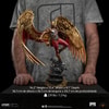 Hawkman (Prototype Shown) View 18