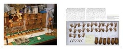 Guillermo del Toro's Pinocchio - A Timeless Tale Told Anew (Prototype Shown) View 8