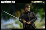 The Governor