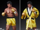 Rocky III (Prototype Shown) View 16