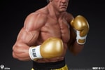 Rocky III (Prototype Shown) View 19