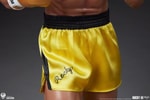 Rocky III (Prototype Shown) View 20