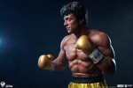 Rocky III (Prototype Shown) View 25