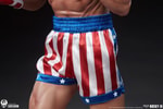Rocky IV (Prototype Shown) View 20