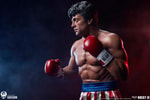 Rocky IV (Prototype Shown) View 25