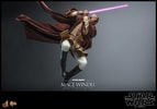 Mace Windu (Prototype Shown) View 15