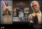 Mace Windu (Prototype Shown) View 21