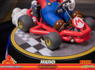 Mario Kart (Collector's Edition)