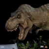 T-Rex and Donald Gennaro