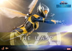The Wasp