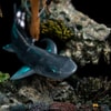 King Namor Deluxe- Prototype Shown