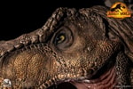 Tyrannosaurus Rex