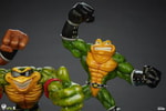 Battletoads Brawler Collection