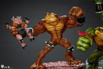 Battletoads Brawler Collection