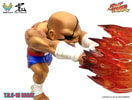Sagat (Prototype Shown) View 7