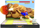 Sagat (Prototype Shown) View 9