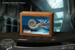 Nautilus Miniature Frame & Fossil Deluxe