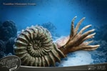 Nautilus Miniature Frame & Fossil Deluxe