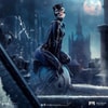 Catwoman- Prototype Shown
