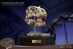 T-Rex Head Skull- Prototype Shown