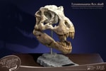 T-Rex Head Skull- Prototype Shown
