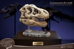 T-Rex Head Skull