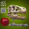 T-Rex Head Skull- Prototype Shown