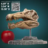 Spinosaurus Head Skull- Prototype Shown