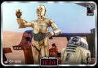 C-3PO™ (Prototype Shown) View 3