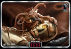 C-3PO™ (Prototype Shown) View 16