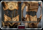 C-3PO™ (Prototype Shown) View 19