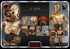 C-3PO™ (Prototype Shown) View 20