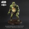 Gamorrean Fighter- Prototype Shown