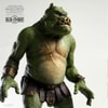 Gamorrean Fighter