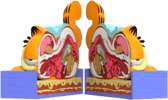 XXPOSED Garfield
