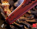 Sol Badguy - The Bounty Hunter (Prototype Shown) View 15
