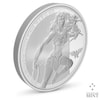 Wonder Woman 1oz Silver Coin (Prototype Shown) View 4