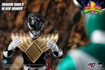 Dragon Shield Black Ranger (Prototype Shown) View 18