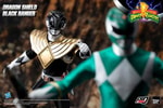 Dragon Shield Black Ranger (Prototype Shown) View 19
