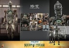 IG-12 Collector Edition (Prototype Shown) View 19