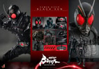 Kamen Rider Black Sun Collector Edition (Prototype Shown) View 21