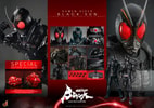 Kamen Rider Black Sun (Special Edition) (Prototype Shown) View 22