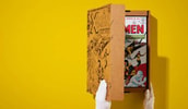 Marvel Comics Library. X-Men. Vol 1. 1963-1966 View 15