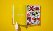 Marvel Comics Library. X-Men. Vol 1. 1963-1966 View 8