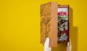 Marvel Comics Library. X-Men. Vol 1. 1963-1966 View 14