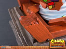 Aku Aku Mask View 8