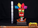 Aku Aku Mask View 11